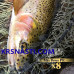 Шнур Varivas Super Trout Advance Max Power PE X8 размотка 150м разноцветный